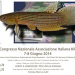 Volantino_Congresso_AIK_2014