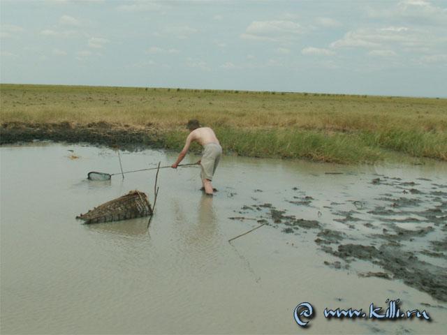 Ловись рыбка