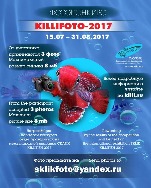 SKLIKphoto2017